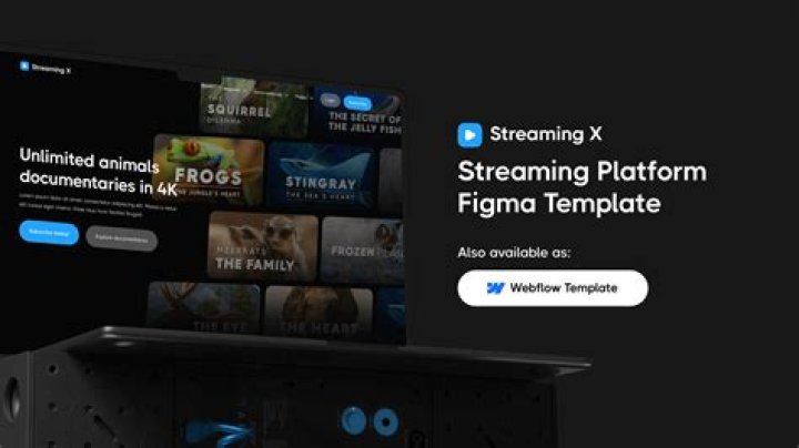 Free streaming platform interface